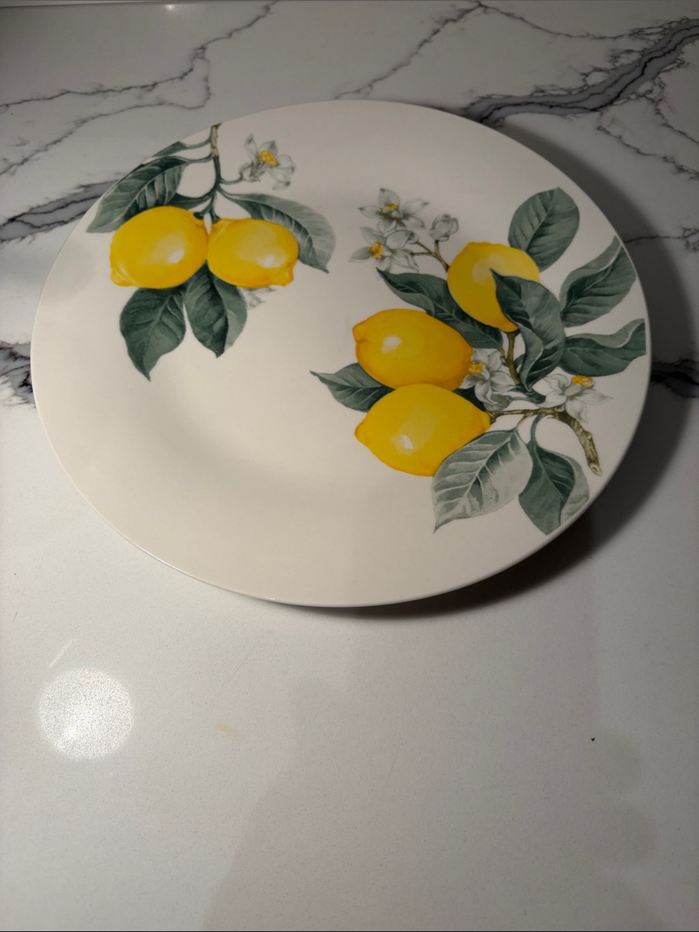 Lemon-Print Ceramic Dinner Plate - White & Yellow